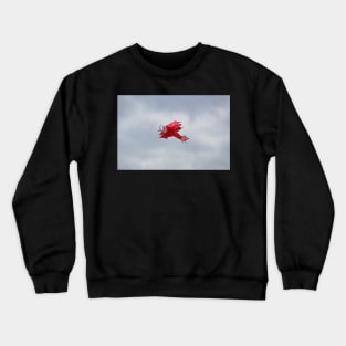 A little Fokker Dr.1 Triplane kite Crewneck Sweatshirt